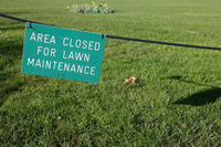 Landscape Maintenance Services
